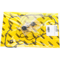 Wasserpumpenreparatursatz für TRX450R '06-09 + 450ER '06-14