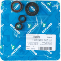 Motor gaskets set 411A016SR