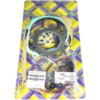 Full gaskets set 411A350FL