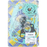 Full gaskets set 666A029FL