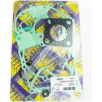 motor gasket set 666A076FL