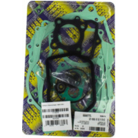 motor gasket set / 666A077FL