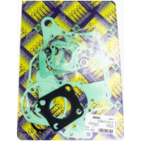 motor gasket set 666A089FL