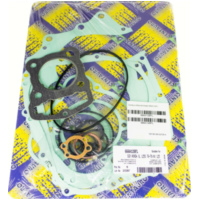 Full gaskets set 666A128FL