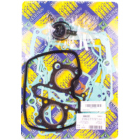 Full gaskets set 666A130FL