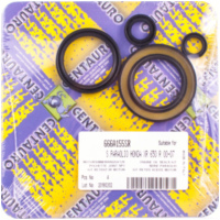 oil seals set 666A155SR