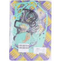 Full gaskets set 666A161FL