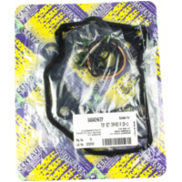 Top gaskets set 666A246TP