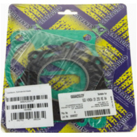 Top gaskets set 666A255TP