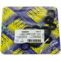 Centauro, oil seals set 722A282SR