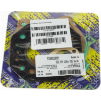 Top gaskets set 731A123TP