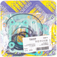 Top gaskets set 731A132TP