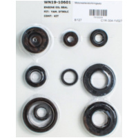 Motor oil seal set 79100204