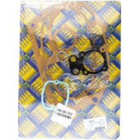 Full gaskets set 819A125FL