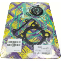 Full gaskets set 990A036FL