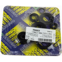 Centauro, oil seals set 990A086SR