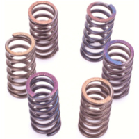 Premium clutch spring kit CSK006