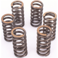 Premium clutch spring kit for: KTM