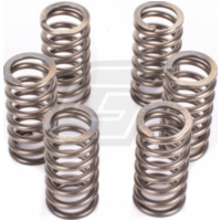 Premium clutch spring kit for: Triumph CSK029