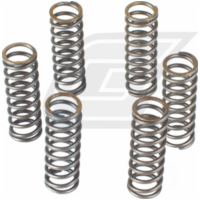 Premium clutch spring kit CSK043