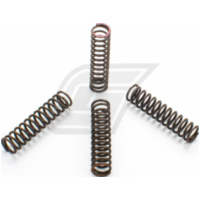 Premium clutch spring kit CSK056