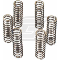 Premium clutch spring kit CSK061