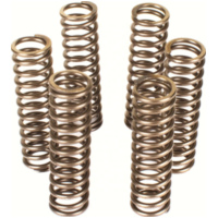 Premium clutch spring kit CSK067