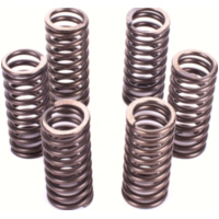 Premium clutch spring kit CSK081