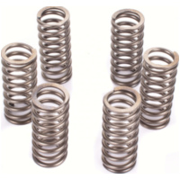 Premium clutch spring kit for: BMW