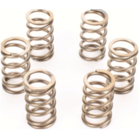 Premium clutch spring kit for: KTM CSK130