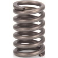Premium clutch spring kit for: KTM CSK131