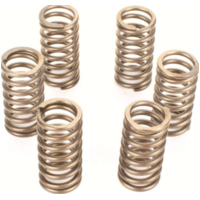 Premium clutch spring kit CSK136