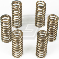 Premium clutch spring kit CSK145