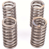 Premium clutch spring kit CSK166