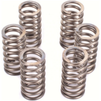 Premium clutch spring kit CSK190