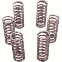 Premium clutch spring kit CSK198