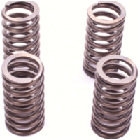 Premium clutch spring kit for: KTM CSK199