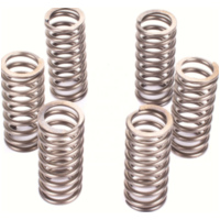 Premium clutch spring kit for: Yamaha CSK211