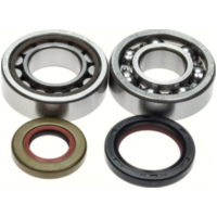 crankshaft bearing (set) with oil seals K048