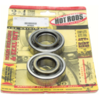 crankshaft bearing (set) with oil seals K069