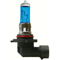 12V Blu-Xe halogen lamp - H10 - 42W - PY20d - 2 pcs - Box