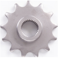 Pinion 13T 420 R20-0824-13