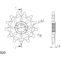 Ritzel 520/12Z