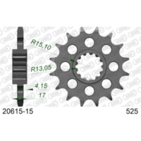 Ritzel AFAM 630 - 15Z 2060015