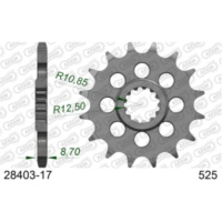 Ritzel AFAM 428 - 11Z 2820011