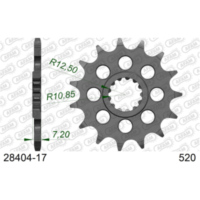 Ritzel AFAM 428 - 16Z 2820016