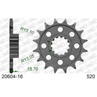 Ritzel AFAM 520 - 15Z 2050815