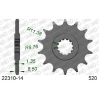 Front Sprocket AFAM 520 - 10t 2210410