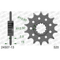 Ritzel AFAM 520 - 13Z 2430413