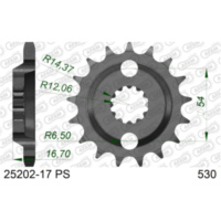 Ritzel AFAM 525 - 15Z 2450615